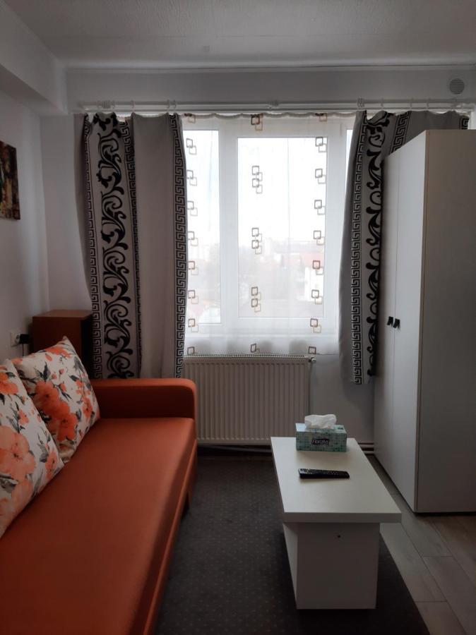 Arti Studio Appartement Braşov Buitenkant foto